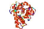 ADHP Assay Stop Reagent