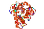 Human LDL, MDA Modified