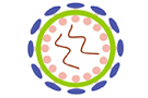 Viral Plaque Assay Kit