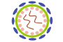HSV Glycoprotein D (gD) ELISA Kit